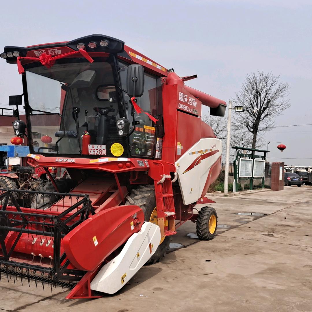 陕割《麦田巡游者》