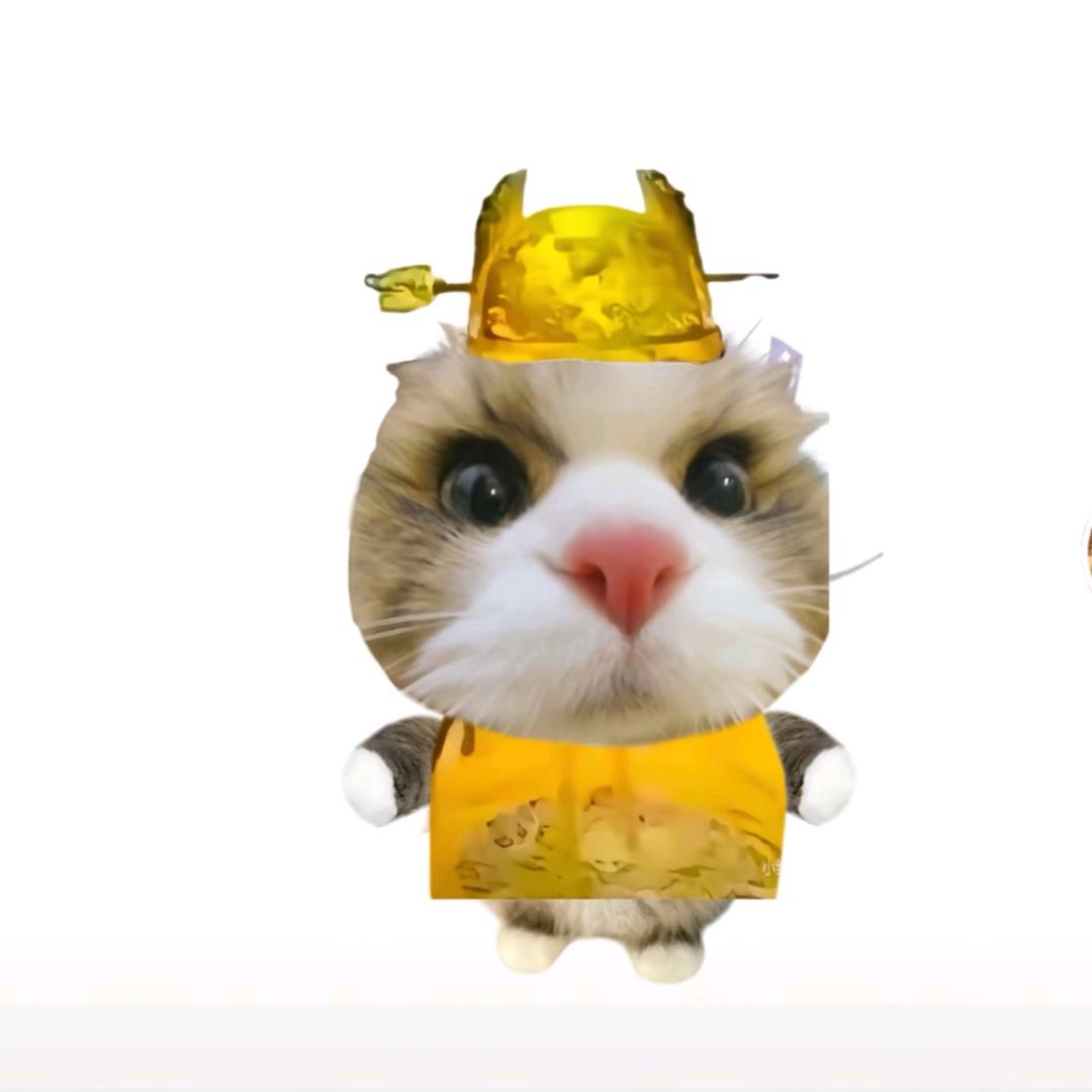 高维度光🌟✨⭐（3I/ATLAS来了）