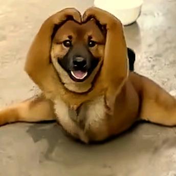 知足常乐