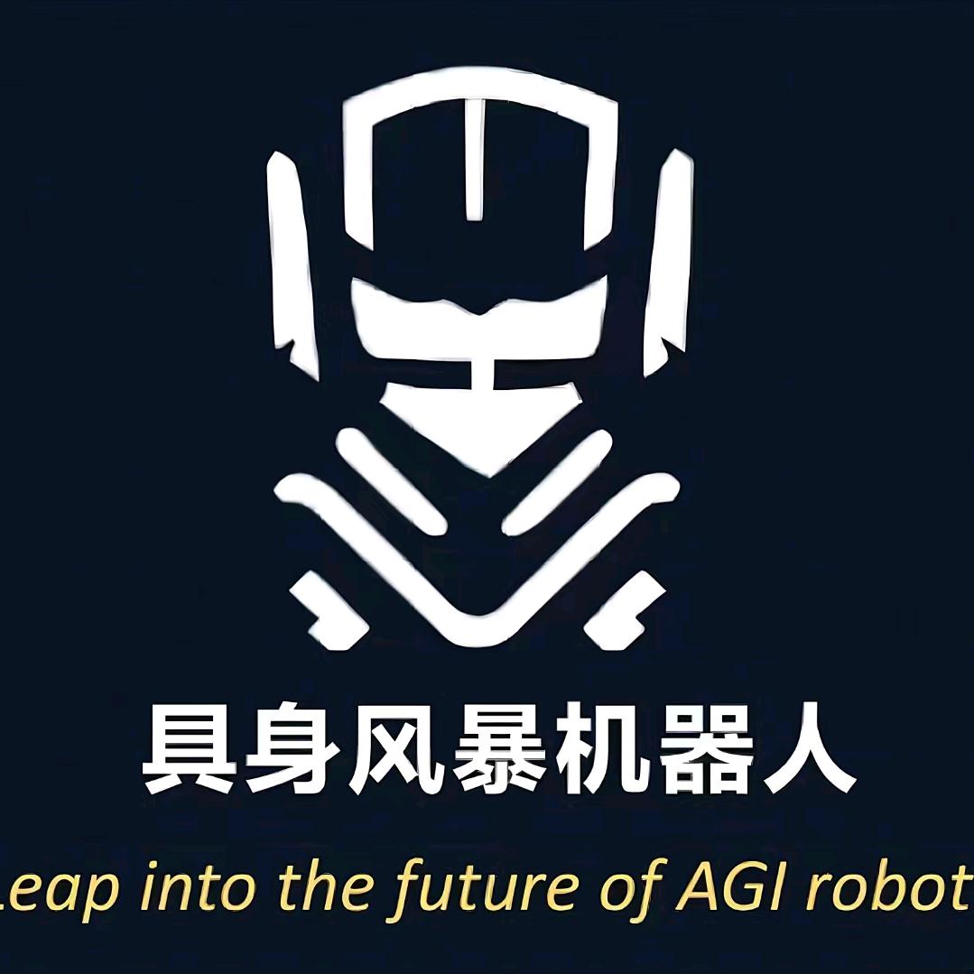 广东具身风暴机器人源头厂家