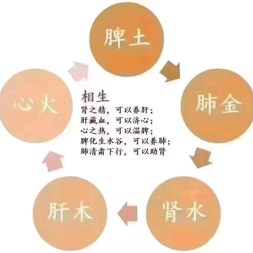 我是燕子