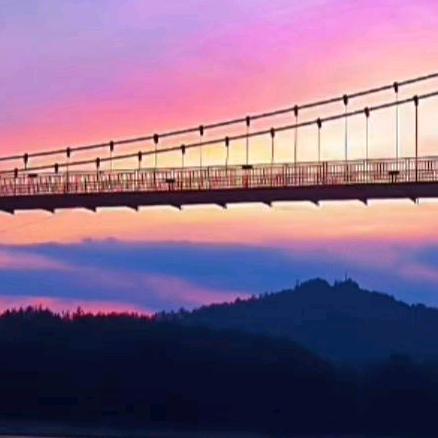 (｡˘•㉨•˘｡)心疼..