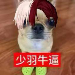 天道酬勤。