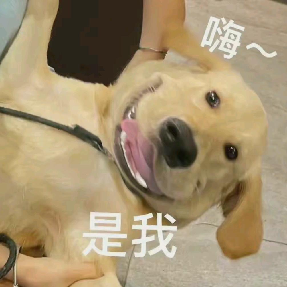 okokokokok
