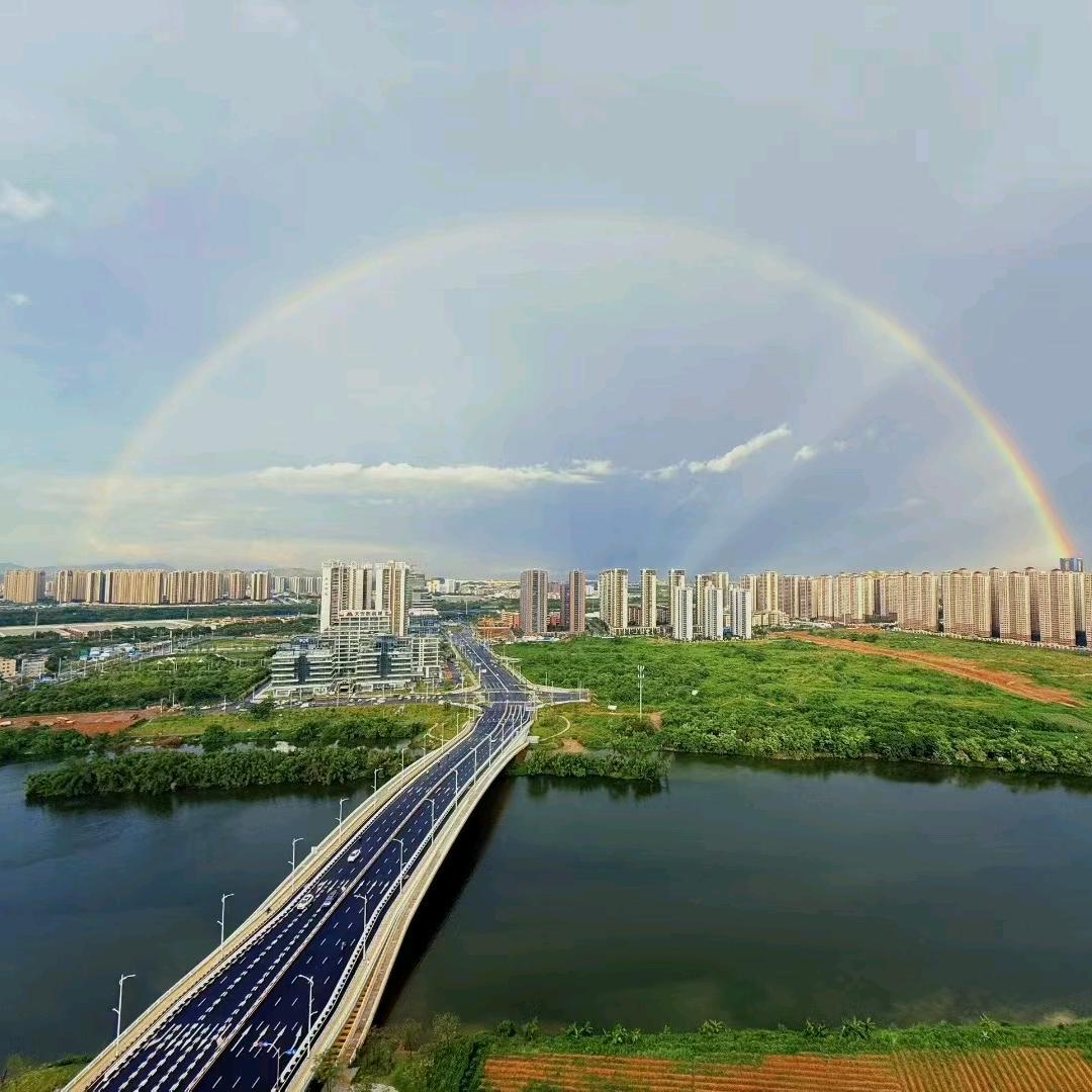 龙殿殿主