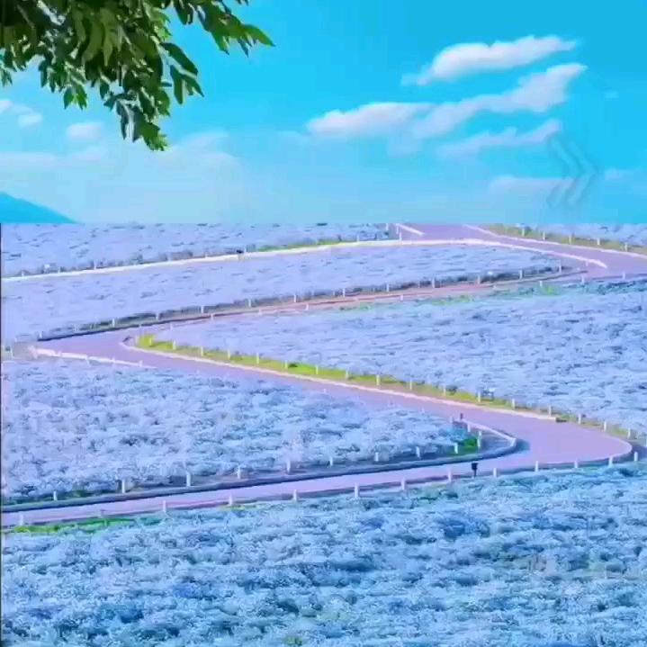 TⅠ0