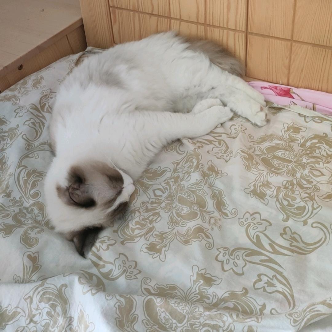 仙娥湖浩哥
