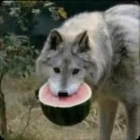 靖品手绘工艺品