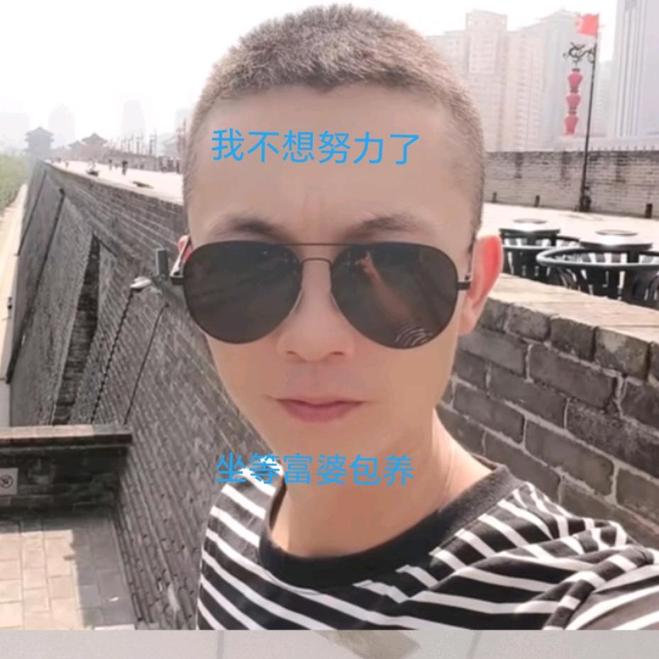 涛涛不想努力了