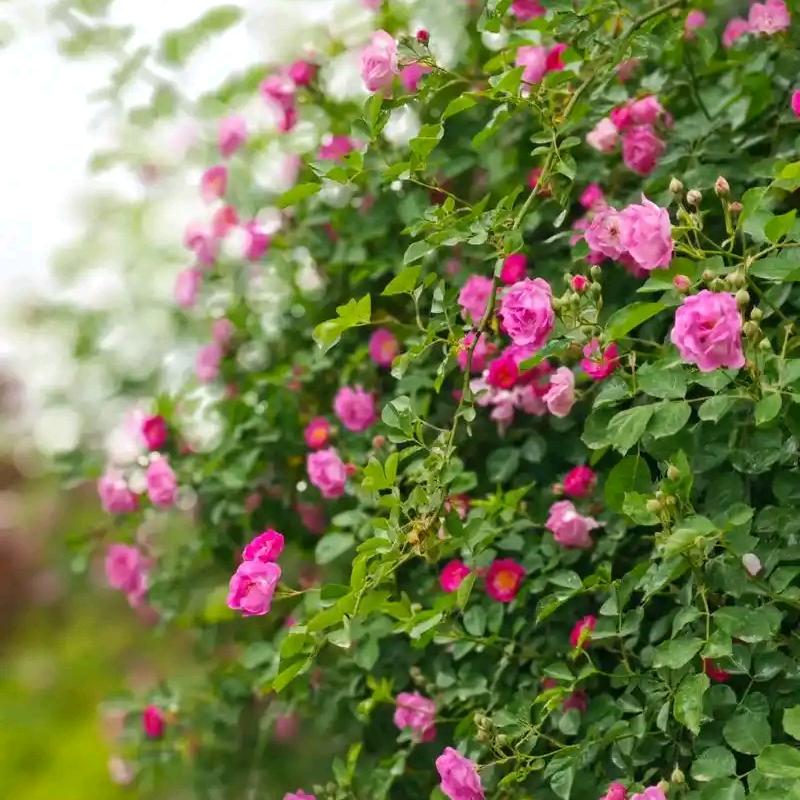 广州市遇沁于卓优品小铺