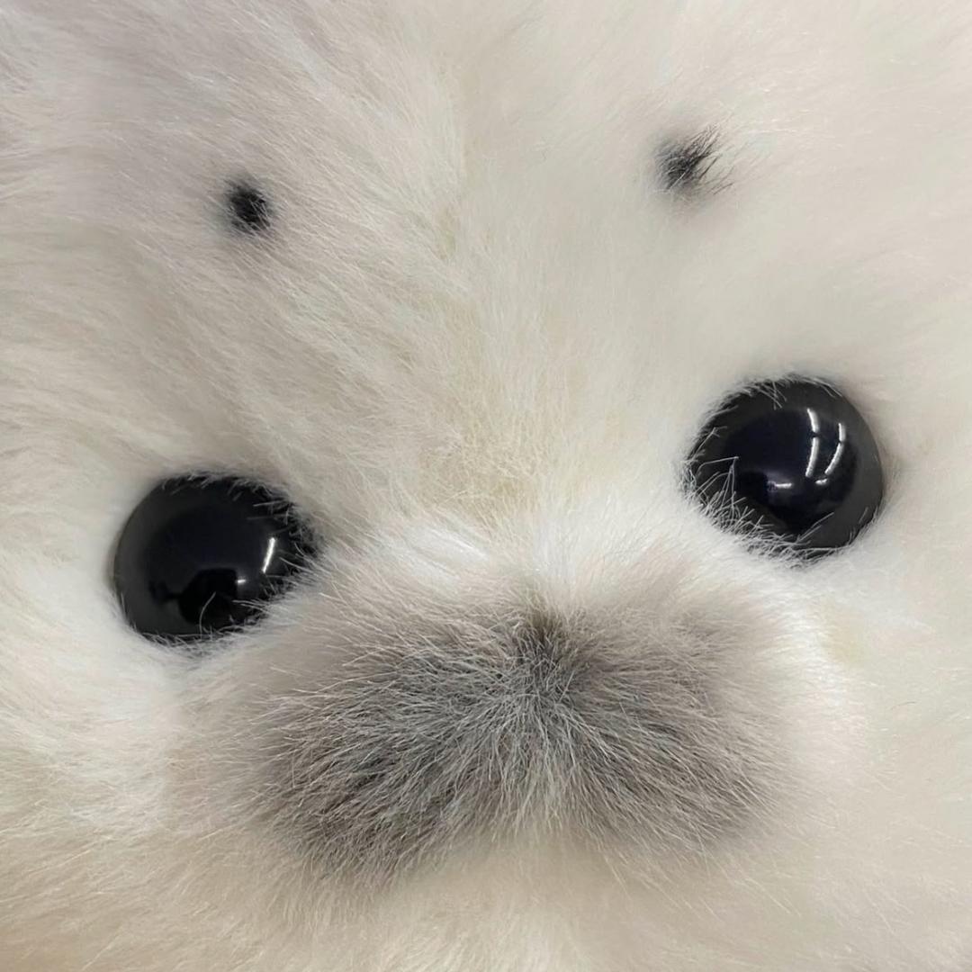 雾妤.🍚
