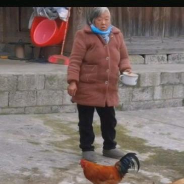 永不服输