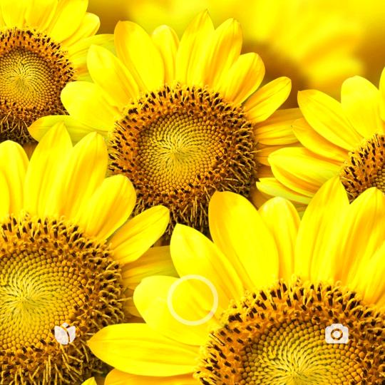 叶哥家的小宝贝😘