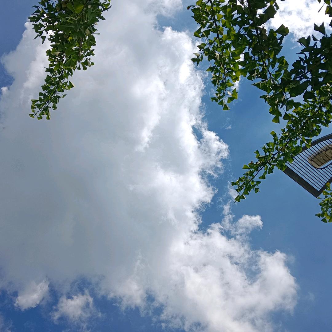 两个儿子的宝妈