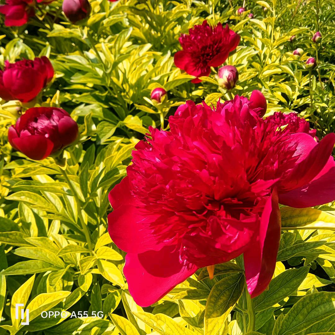 握不住的沙，就扬了它
