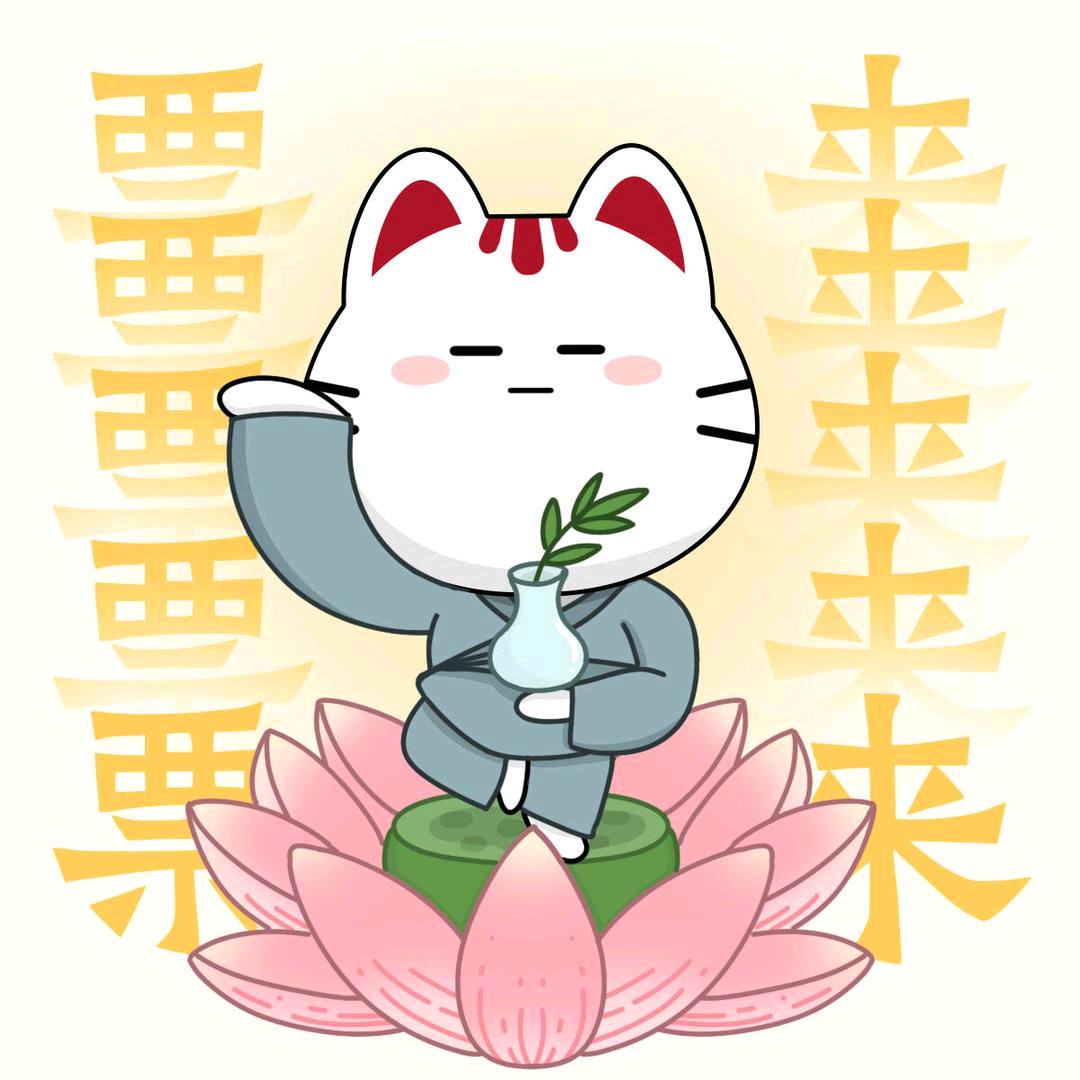 票票多多