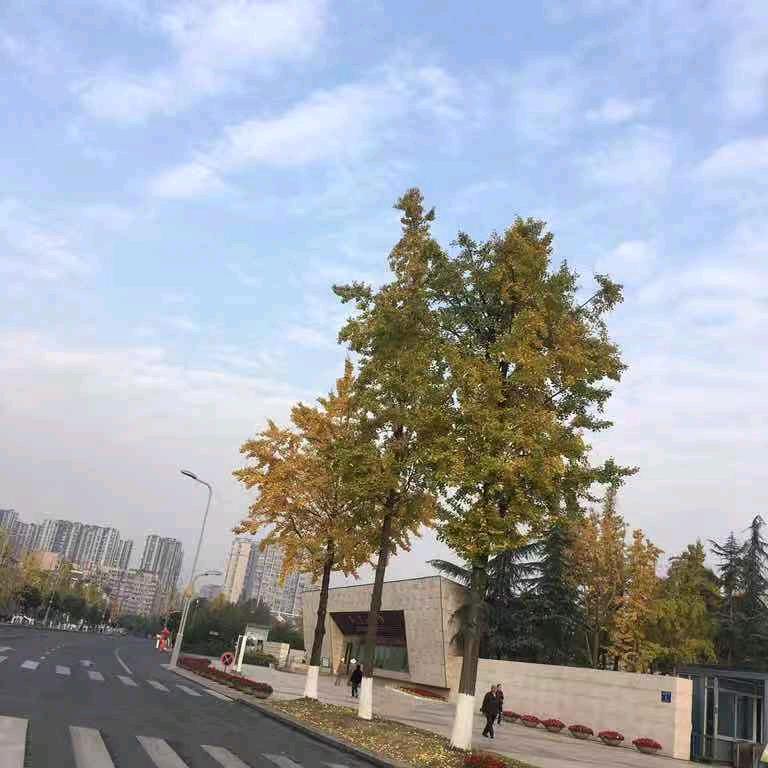 李老师