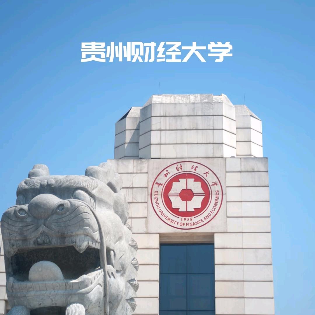 张总