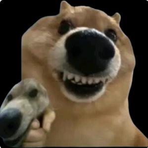 柴狗