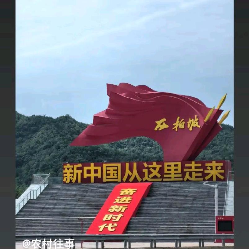 扶摇直上九万里z