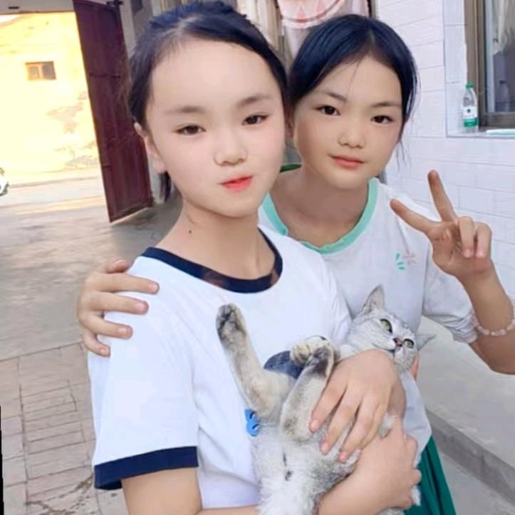 心