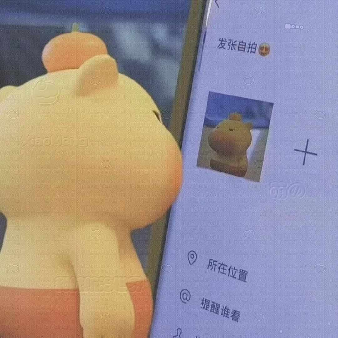 小屿宝