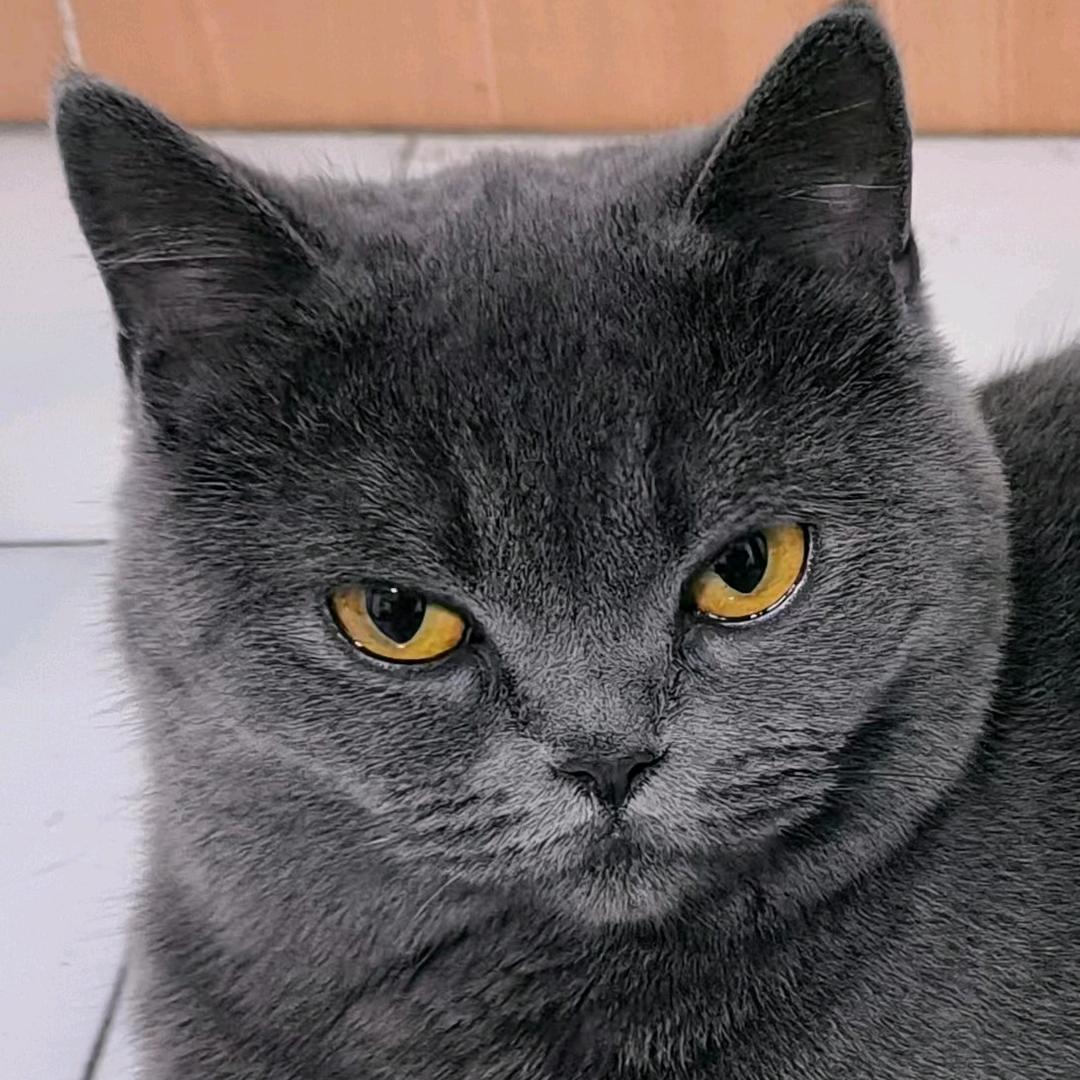 繁星璀璨