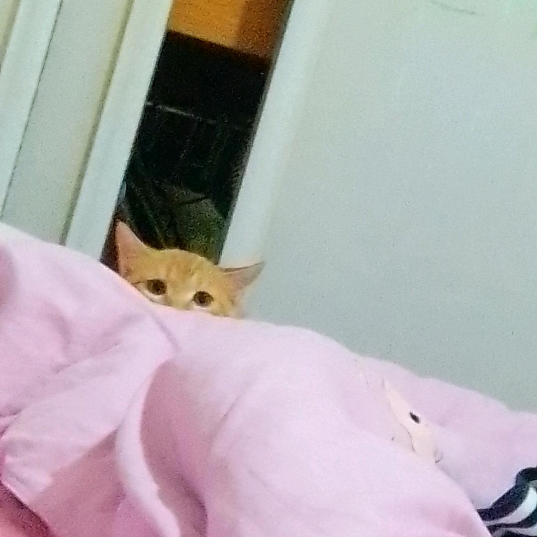 笑笑不说话