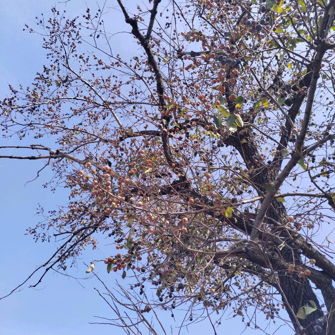 帅小伙
