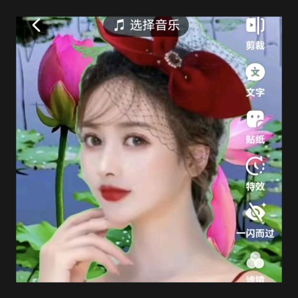 琴琴💐见赞必回