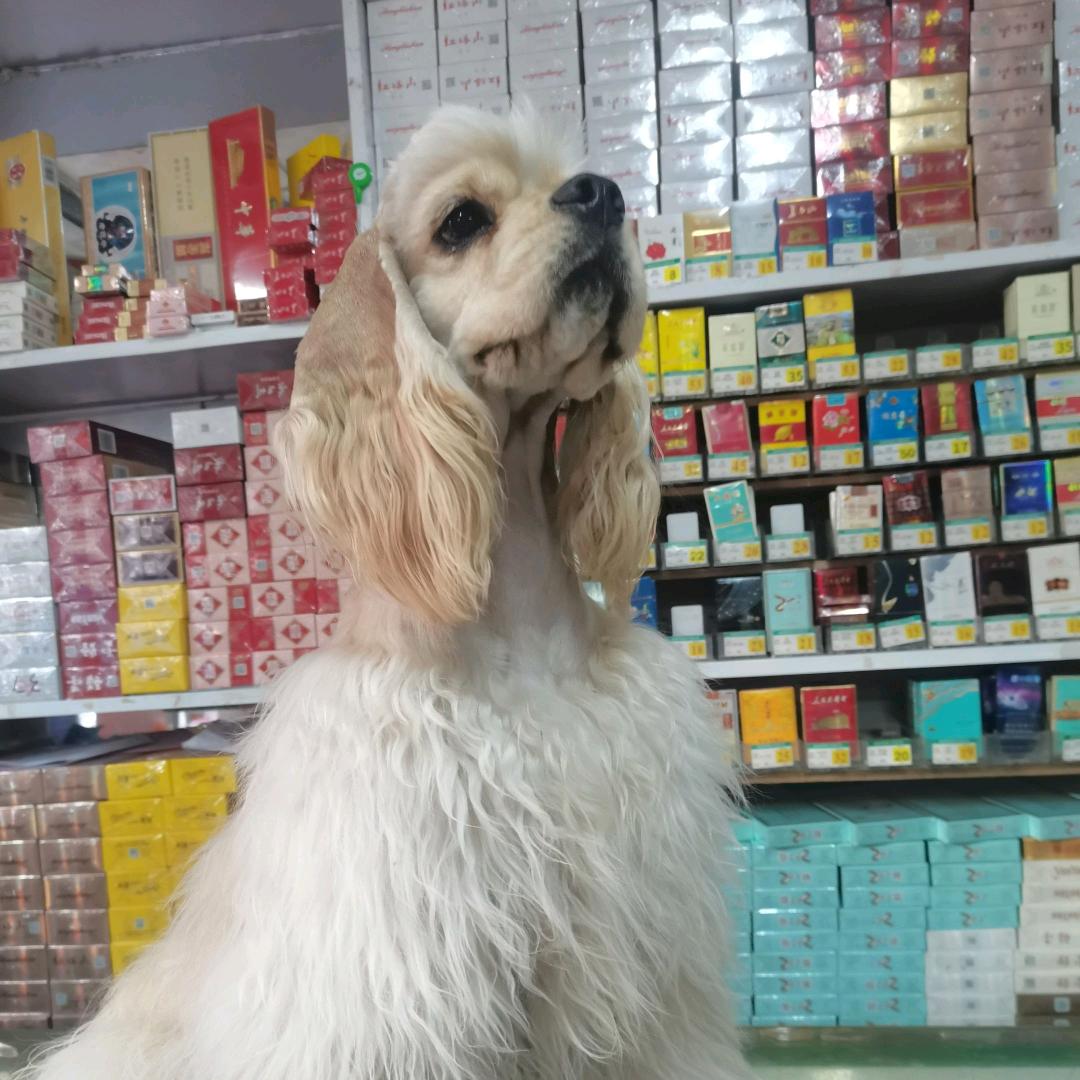 养美卡的大朋友