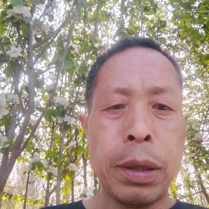 我是贵涛