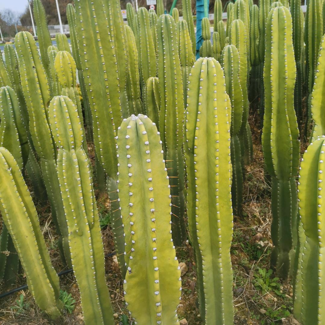 @🧚‍♂️🧚‍♀️随🌺🌺风飞翔?