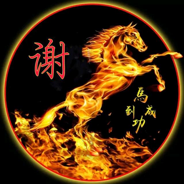 家政谢哥（独江孤舟）