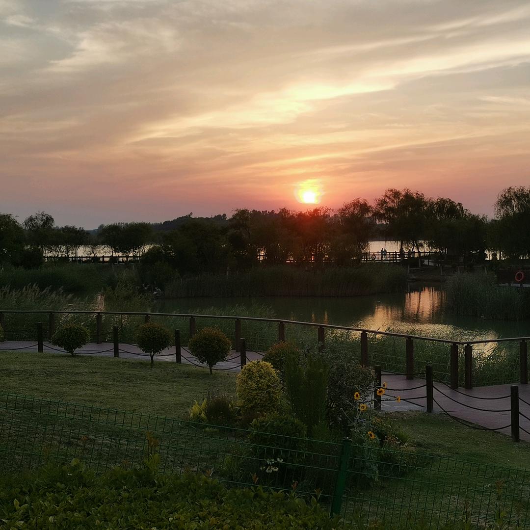 风吹哪页读哪页,哪页不懂撕哪页