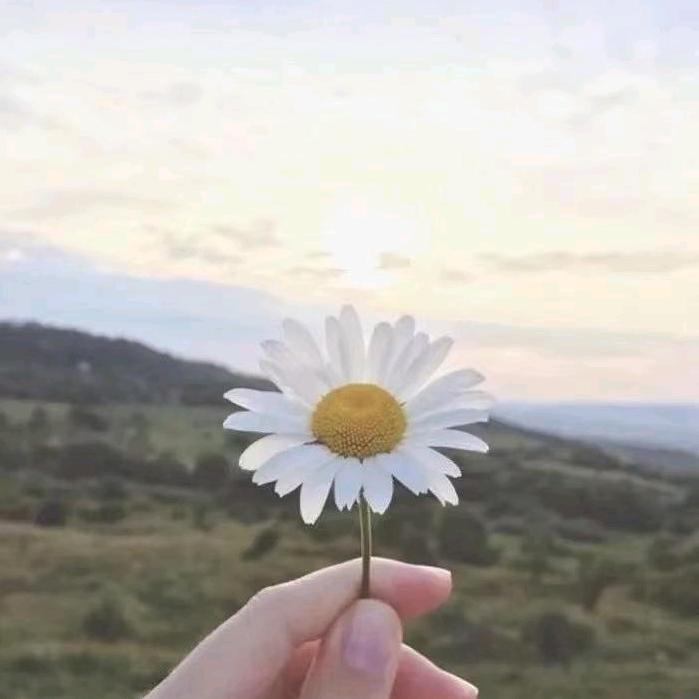 花🌼
