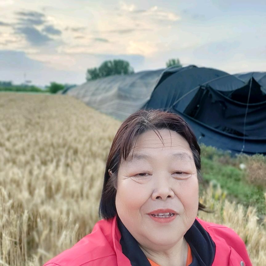 老刘农资30年（泌阳田园农资）