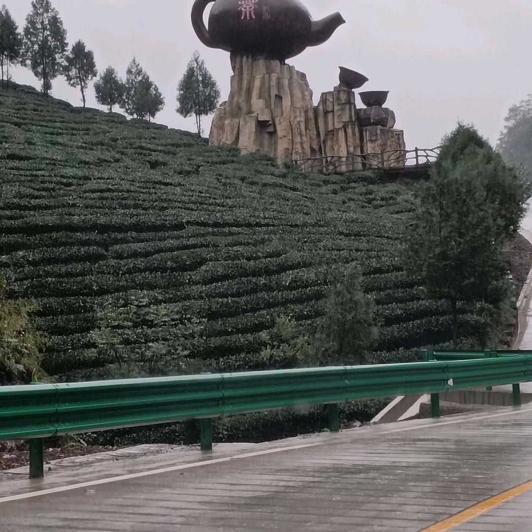 拼搏