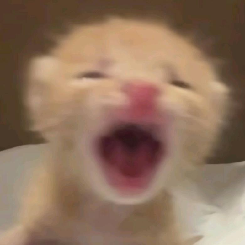 非常龙💤