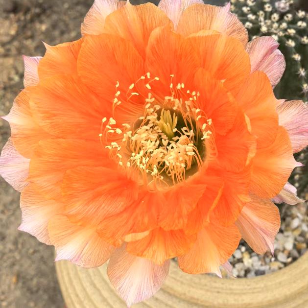 迎着阳光，温暖前行