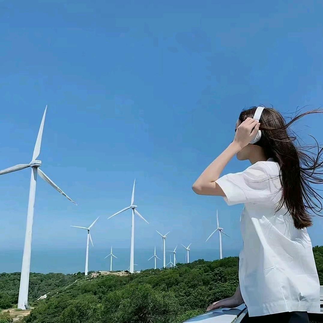 玉兰花