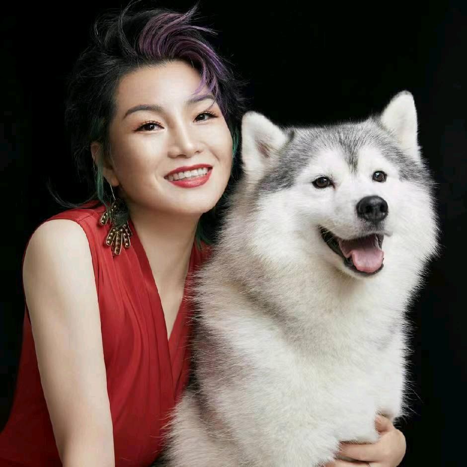 哈哈哈士奇&冰妈