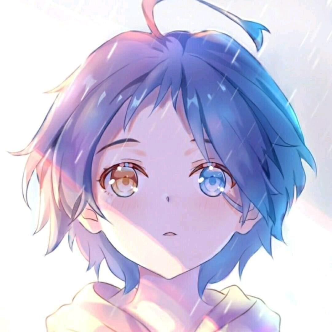 笨五