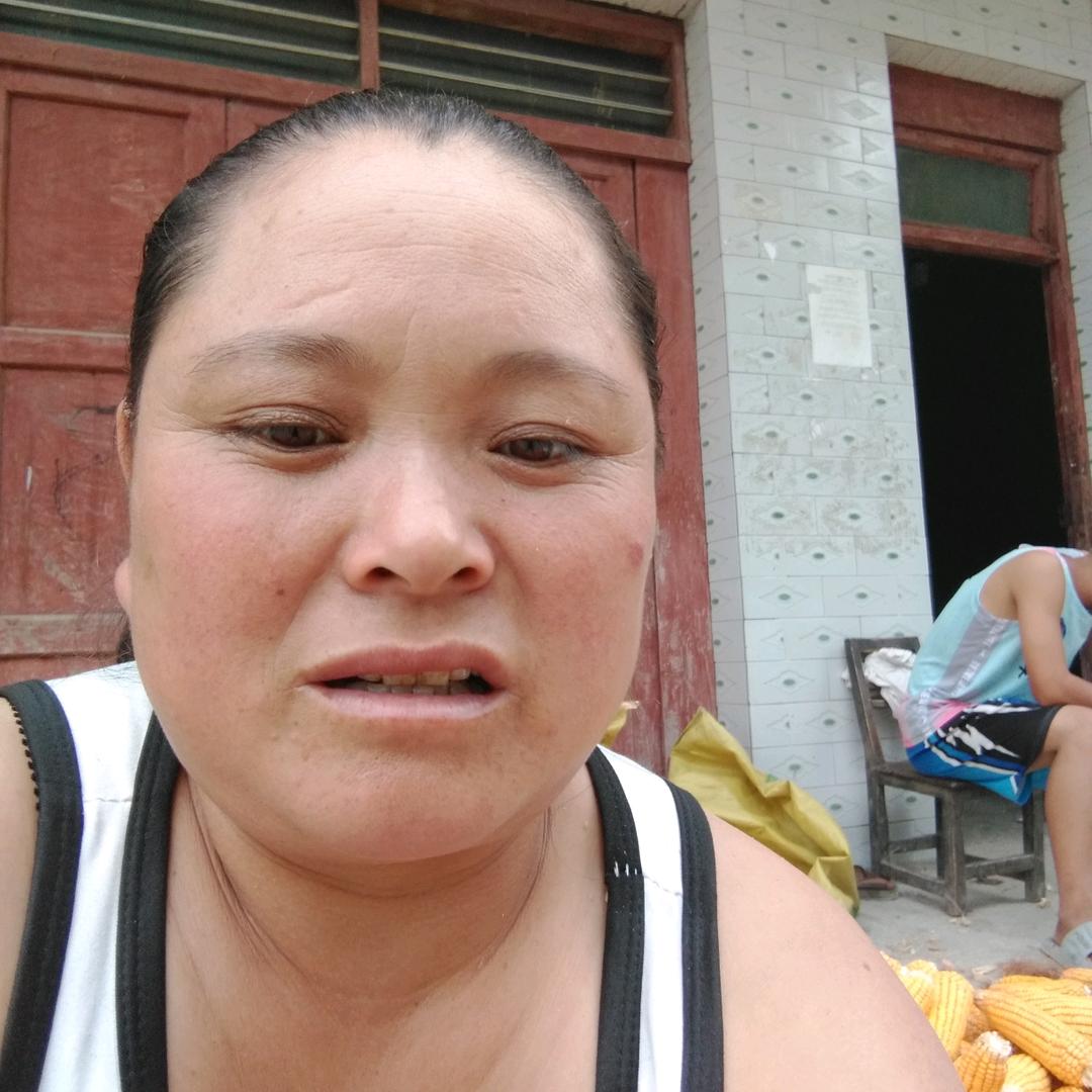 用户9520305093479