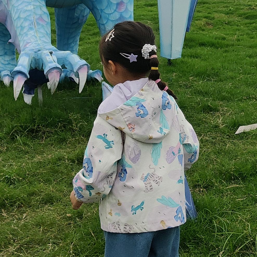 简单儿童编发教程(卖苹果版)