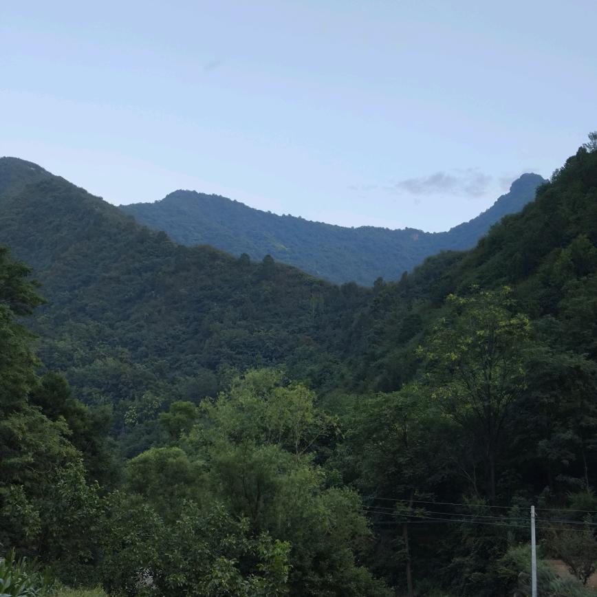 多福多寿