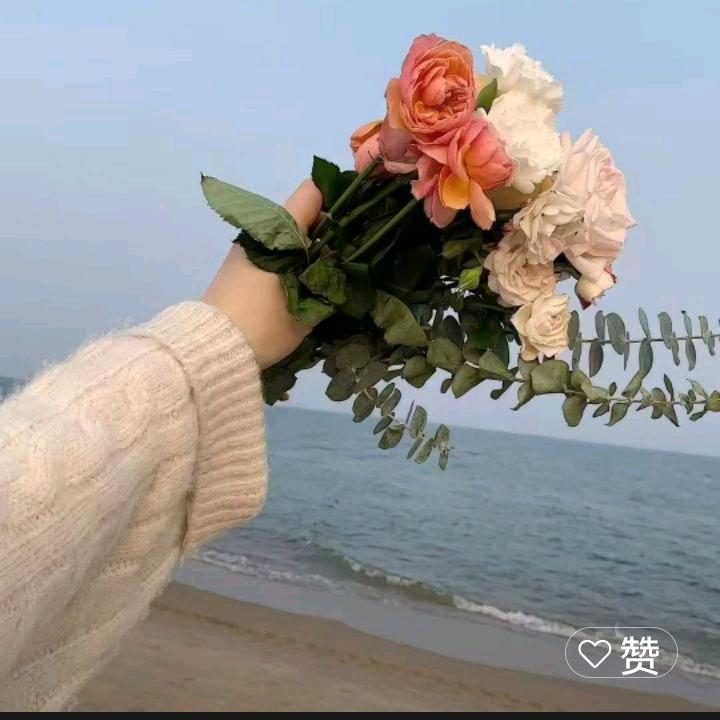 青涩阳光