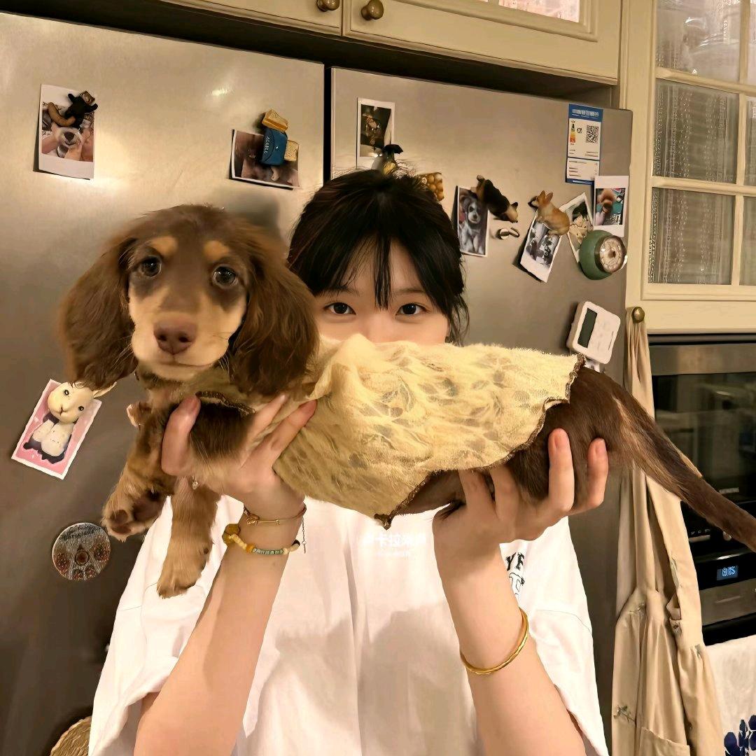 杨🐑🐑