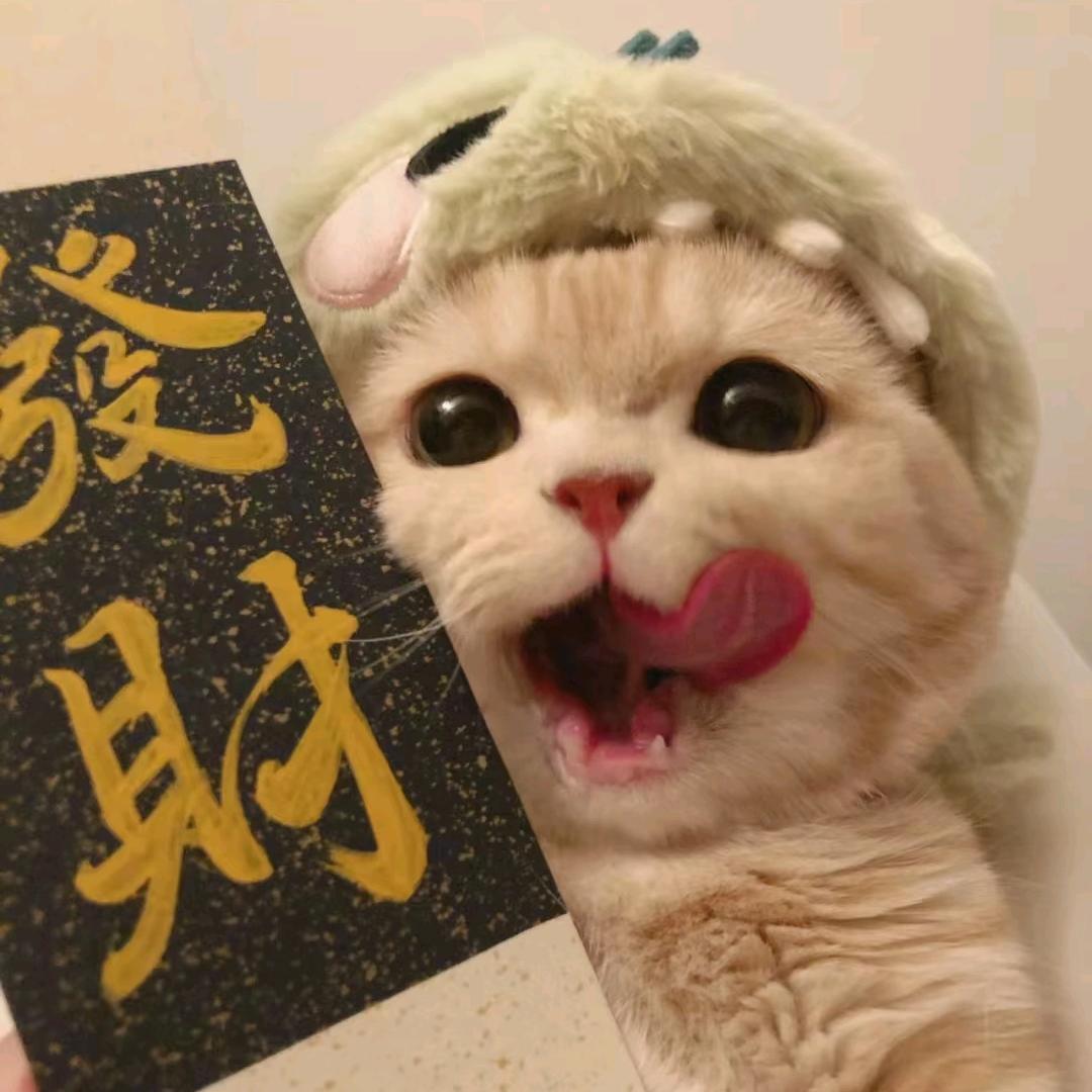猫神