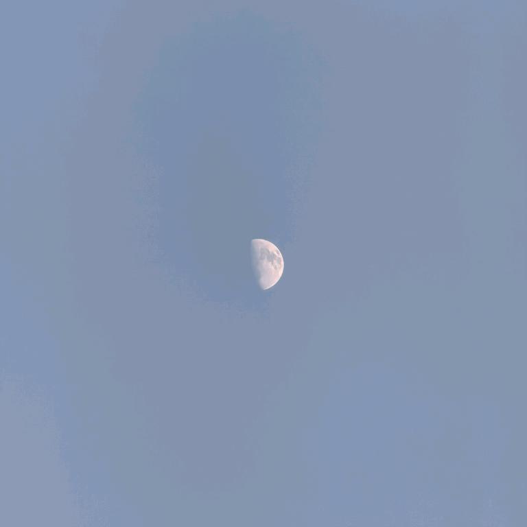 热爱数码的小赵